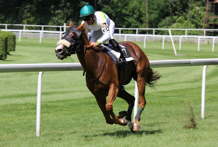 horse racing